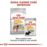 Royal Canin Medium Dermacomfort hrana uscata caine, prevenirea iritatiilor pielii, 3 kg