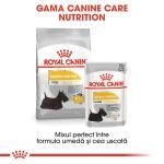Royal Canin Mini Dermacomfort hrana uscata caine, prevenirea iritatiilor pielii, 1 kg