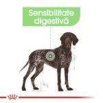 Royal Canin Digestive Care Maxi, 3 kg - talie
