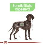 Royal Canin Maxi Digestive Care hrana uscata caine, confort digestiv, 12 kg
