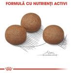 Royal Canin Maxi Digestive Care hrana uscata caine, confort digestiv, 12 kg