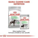 Royal Canin Digestive Care Maxi, 3 kg - gama