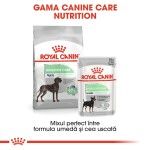 Royal Canin Maxi Digestive Care hrana uscata caine, confort digestiv, 12 kg