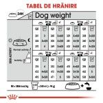 Royal Canin Digestive Care Maxi, 3 kg - hranire