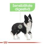 Royal Canin Medium Digestive Care - talie