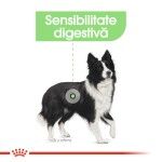 Royal Canin Medium Digestive Care hrana uscata caine, confort digestiv, 3 kg