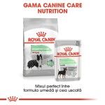 Royal Canin Digestive Care Medium - gama