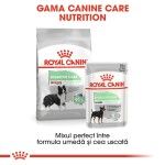 Royal Canin Medium Digestive Care hrana uscata caine, confort digestiv, 3 kg