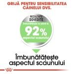 Royal Canin Mini Digestive Care hrana uscata caine, confort digestiv, 3 kg