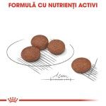 Royal Canin Mini Digestive Care hrana uscata caine, confort digestiv, 3 kg