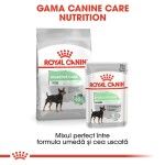 Royal Canin Digestive Care Mini - gama