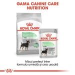 Royal Canin Mini Digestive Care hrana uscata caine, confort digestiv, 3 kg
