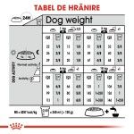 Royal Canin Mini Digestive Care hrana uscata caine, confort digestiv, 3 kg