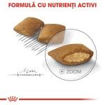 Royal Canin Mini Exigent hrana uscata caine, apetit capricios, 1 kg 