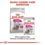 Royal Canin Mini Exigent hrana uscata caine, apetit capricios, 1 kg 