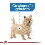 Royal Canin Light Weight Care Adult hrana umeda caine, limitarea cresterii in greutate (pate), 85 g 