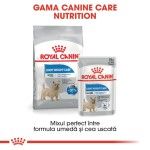 Royal Canin Light Weight Care Adult hrana umeda caine, limitarea cresterii in greutate (pate), 85 g 