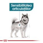 Royal Canin Maxi Joint Care Adult hrana uscata caine, ingrijirea articulatiilor, 10 kg