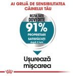 Royal Canin Maxi Joint Care Adult hrana uscata caine, ingrijirea articulatiilor, 10 kg