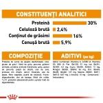 Royal Canin Mini Coat Care Adult hrana uscata caine, blana sanatoasa si lucioasa, 3 kg