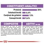 Royal Canin Mini Sterilised Adult hrana uscata caine sterilizat, 8 kg