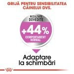 Royal Canin Mini Relax Care hrana uscata caini, pentru adaptarea la medii in schimbare, 1kg