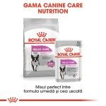 Royal Canin Mini Relax Care hrana uscata caini, pentru adaptarea la medii in schimbare, 1kg