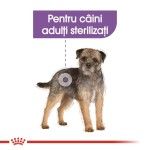 Royal Canin Sterilised Adult hrana umeda caine sterilizat (pate), 12 x 85 g