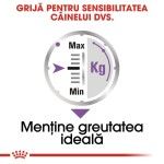 Royal Canin Sterilised Adult hrana umeda caine sterilizat (pate), 12 x 85 g