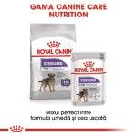 Royal Canin Sterilised Adult hrana umeda caine sterilizat (pate), 12 x 85 g