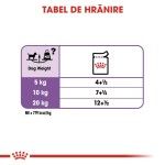 Royal Canin Sterilised Adult hrana umeda caine sterilizat (pate), 12 x 85 g
