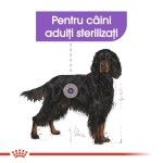 Royal Canin Sterilised Maxi, 3 kg - talie