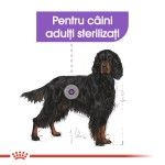 Royal Canin Maxi Sterilised Adult hrana uscata caine sterilizat, 12 kg