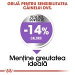 Royal Canin Maxi Sterilised Adult hrana uscata caine sterilizat, 12 kg