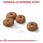 Royal Canin Maxi Sterilised Adult hrana uscata caine sterilizat, 12 kg