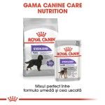 Royal Canin Sterilised Maxi - gama