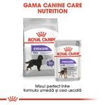 Royal Canin Maxi Sterilised Adult hrana uscata caine sterilizat, 12 kg