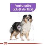 Royal Canin Medium Sterilised Adult hrana uscata caine sterilizat, 12 kg 