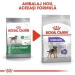 Royal Canin Adult Sterilised Mini - nou