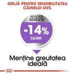 Royal Canin Mini Sterilised Adult hrana uscata caine sterilizat, 1 kg 
