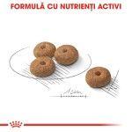 Royal Canin Mini Sterilised Adult hrana uscata caine sterilizat, 1 kg 