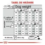 Royal Canin Mini Sterilised Adult hrana uscata caine sterilizat, 8 kg