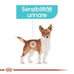 Royal Canin Urinary Care Mini - talie