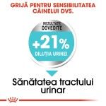 Royal Canin Mini Urinary Care hrana uscata caine, sanatatea tractului urinar, 1 kg