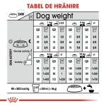 Royal Canin Mini Urinary Care hrana uscata caine, sanatatea tractului urinar, 1 kg