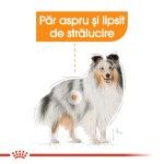 Royal Canin Coat Care All Sizes, 85 g - talie