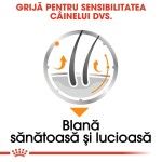 Royal Canin Coat Care Adult hrana umeda caine, blana sanatoasa si lucioasa (pate), 12 x 85 g