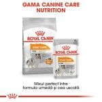 Royal Canin Coat Care All Sizes, 12 x 85 g - gama