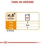 Royal Canin Coat Care Adult hrana umeda caine, blana sanatoasa si lucioasa (pate), 85 g 