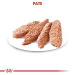 Royal Canin Dermacomfort Adult hrana umeda caine, prevenirea iritatiilor pielii (pate), 85 g 